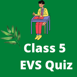 Class 5 Math Quiz-Proveguru