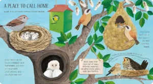 Bird Homes Quiz